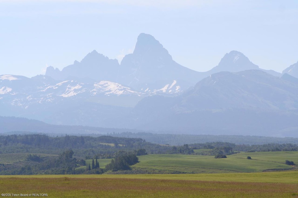 summer view