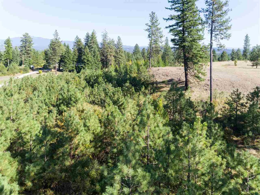 28107 N Perry Rd, Chattaroy, WA 99003 - photo 1