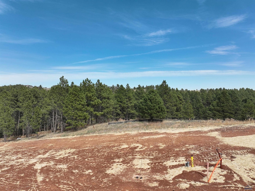 5746 Wind River Rd, Rapid City, SD 57702 - photo 1