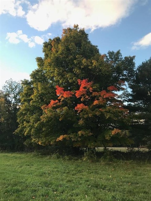 0 Joppa Hill Rd unit 34, Bedford, NH 03110 - photo 1