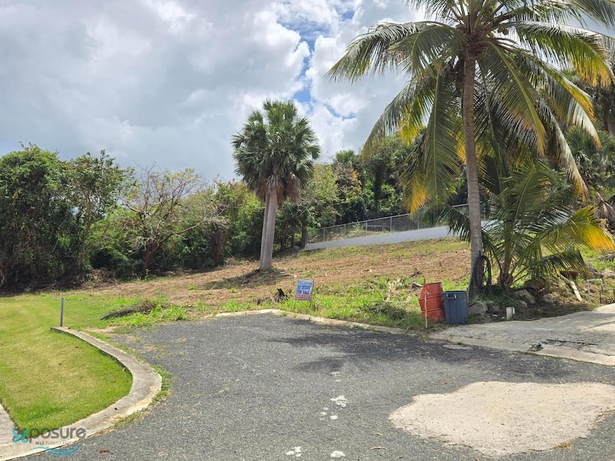 1 Calle Brisas Suave, Isabela, PR 00662 - photo 1