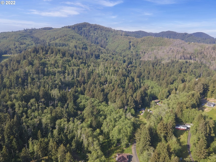 0 Willowbrook Dr unit 2900 22130754, Tillamook, OR 97141 - photo 1