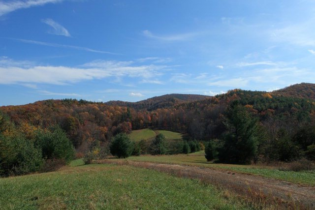 Main View