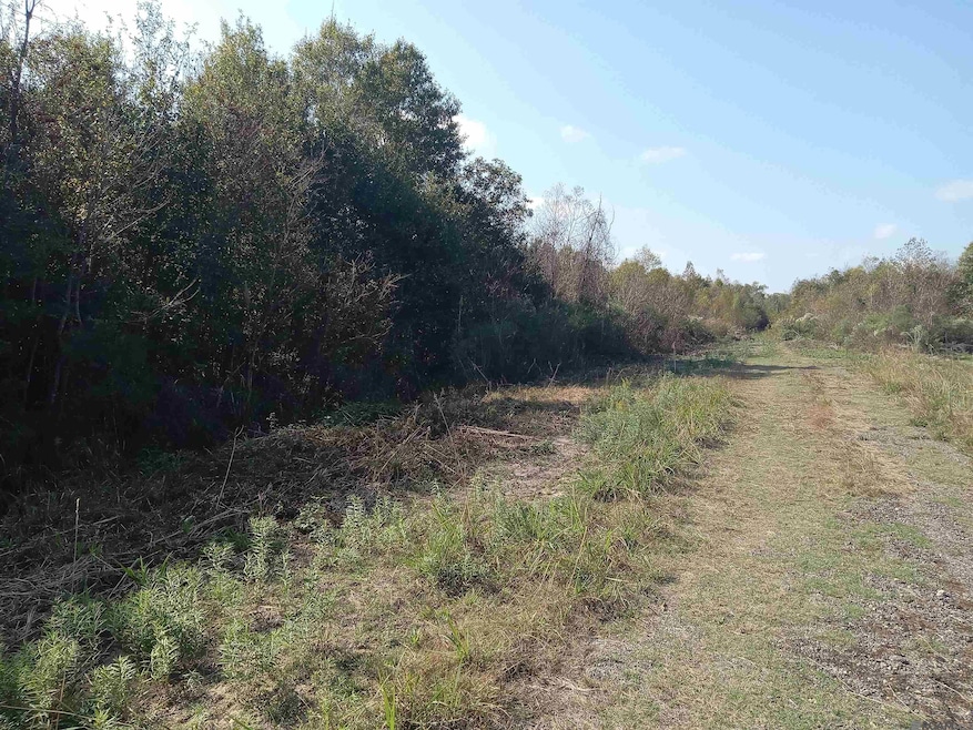 0 Rue Orleans Rd, Holden, LA 70744 - photo 1