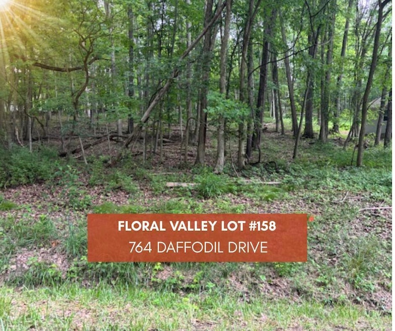 Pending $24,000 • Co-Listing Agent