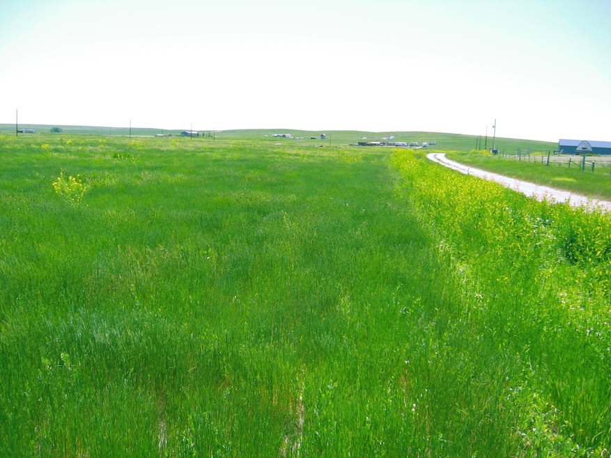 0 Gobbler Ln unit Lot 56 Gobbler Ln. R, Smithwick, SD 57782 - photo 1