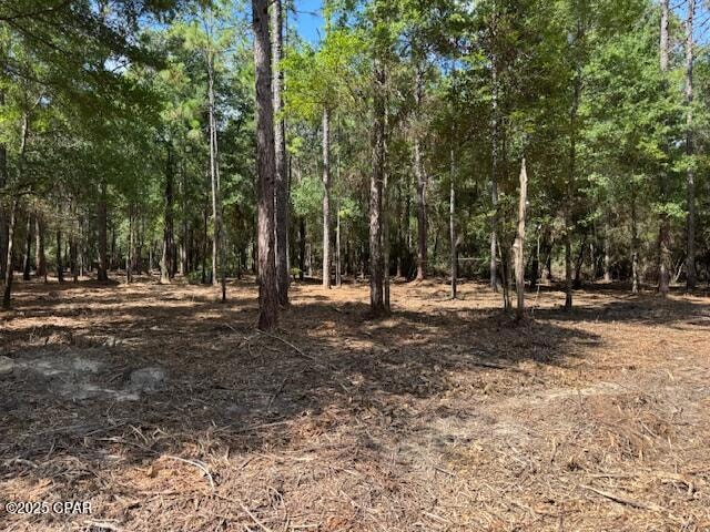 0000 Derby Dr, Chipley, FL 32428 - photo 1