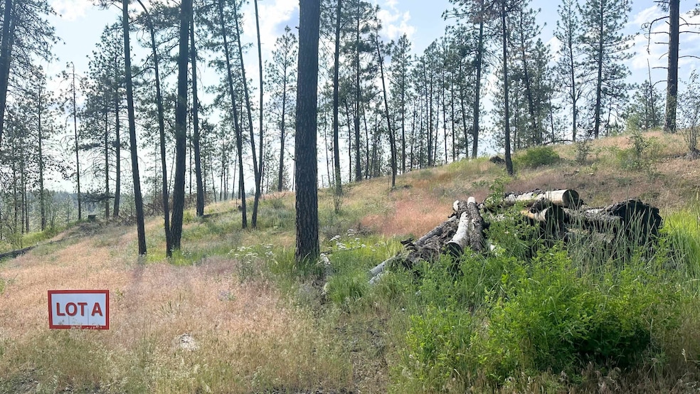 NKA Way, Deer Park, WA 99006 - photo 1