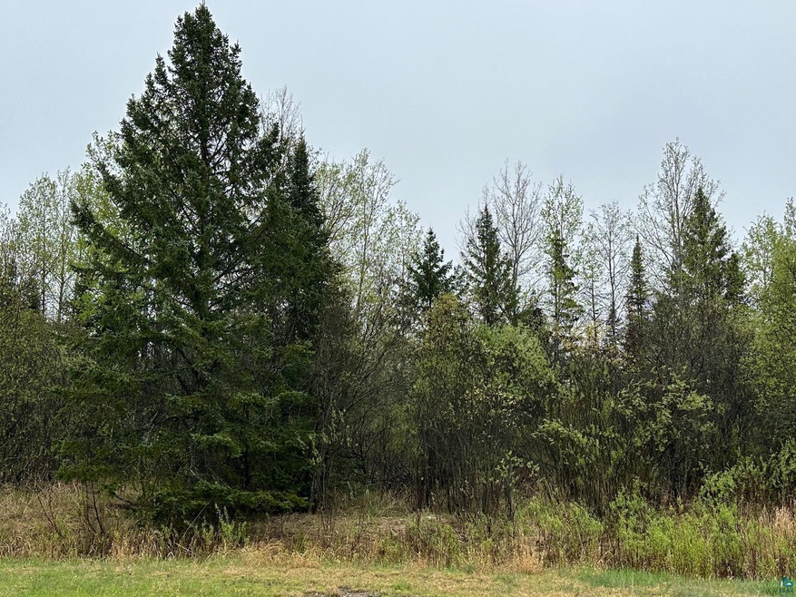 View of local wilderness