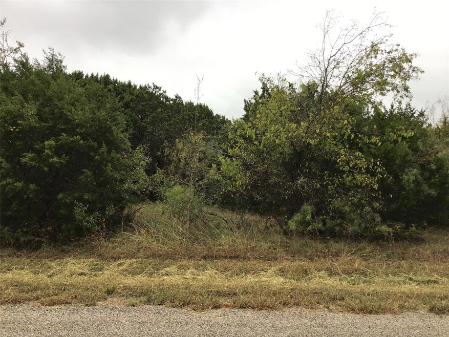 12110 Oak Dale Dr, Whitney, TX 76692 - photo 1