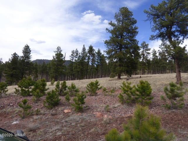 Lot 4 The Ranch at Alpine (1)