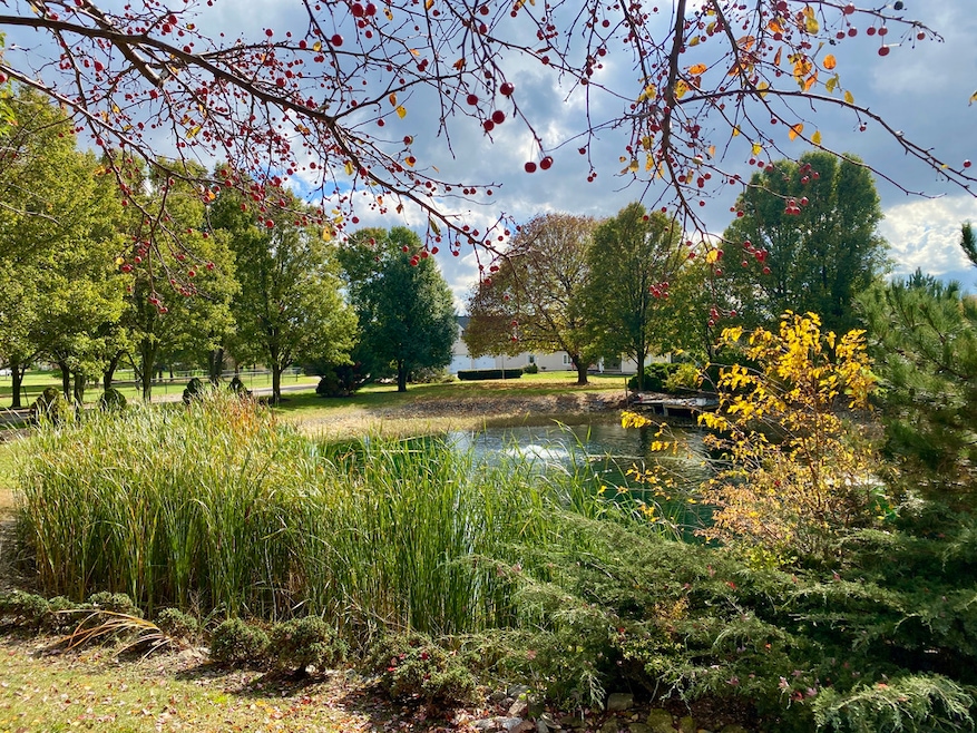 11571 E 126th St, Fishers, IN 46037 - photo 1