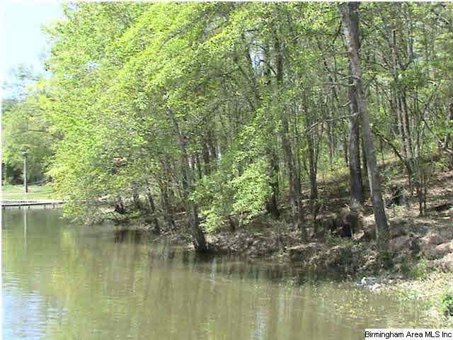 0 Davis Acres Dr unit 6 560672, Alpine, AL 35014 - photo 1