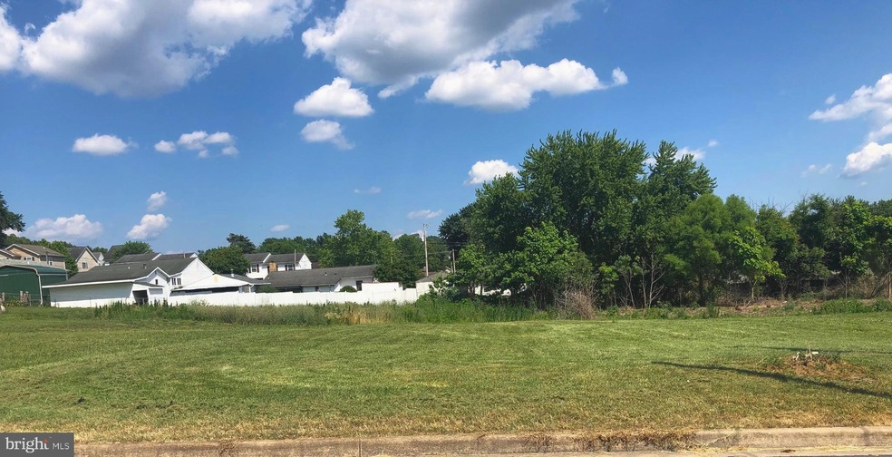 300 Stonewall St, Strasburg, VA 22657 - photo 1