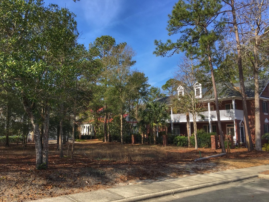 9149 E Bramshill Rd SW, Calabash, NC 28467 - photo 1