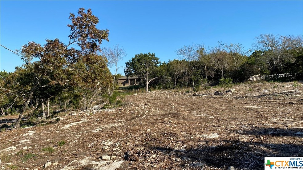 16210 Brazos Ct, Temple, TX 76502 - photo 1