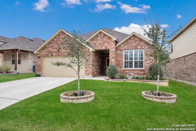 10850 Red Sage, Helotes, TX 78023 - photo 1