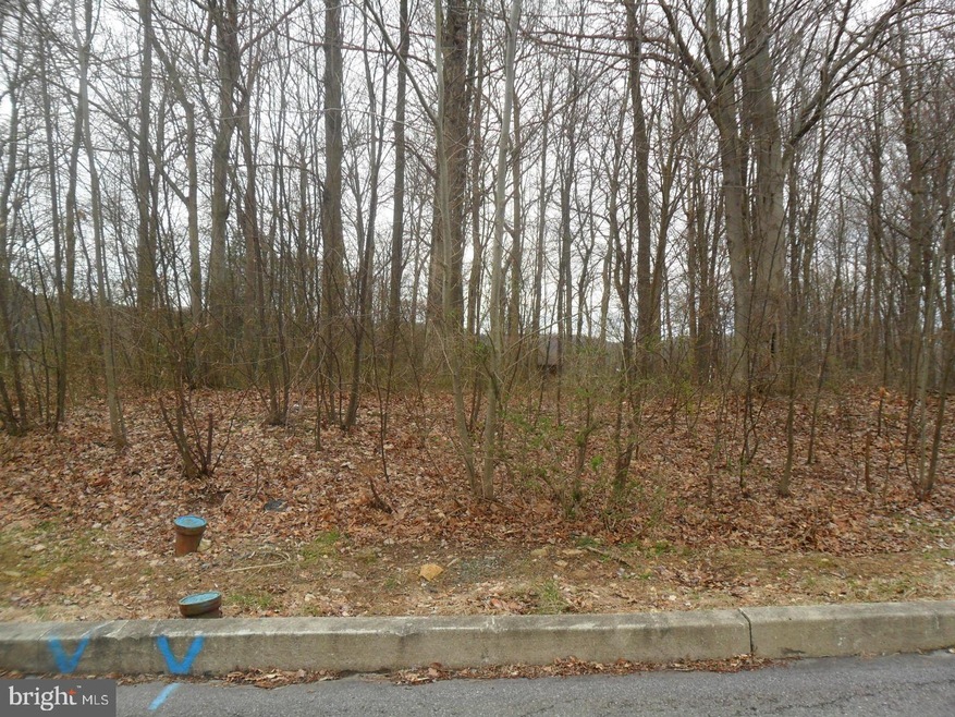 Lot 127 Ridgeview Dr, Orwigsburg Boro, PA 17961 - photo 1