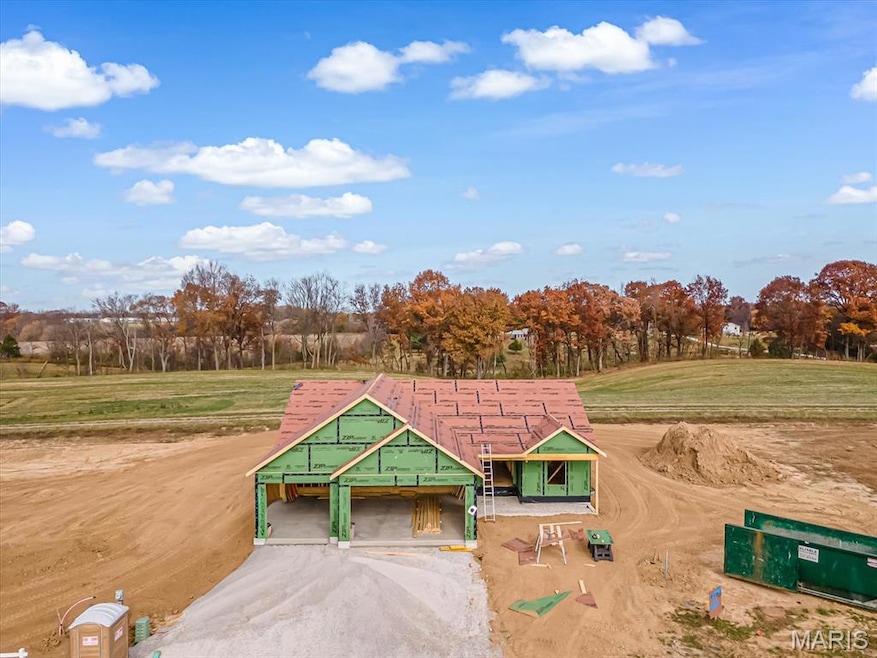 1123 Waymaker Ln, Waterloo, IL 62298 - photo 1