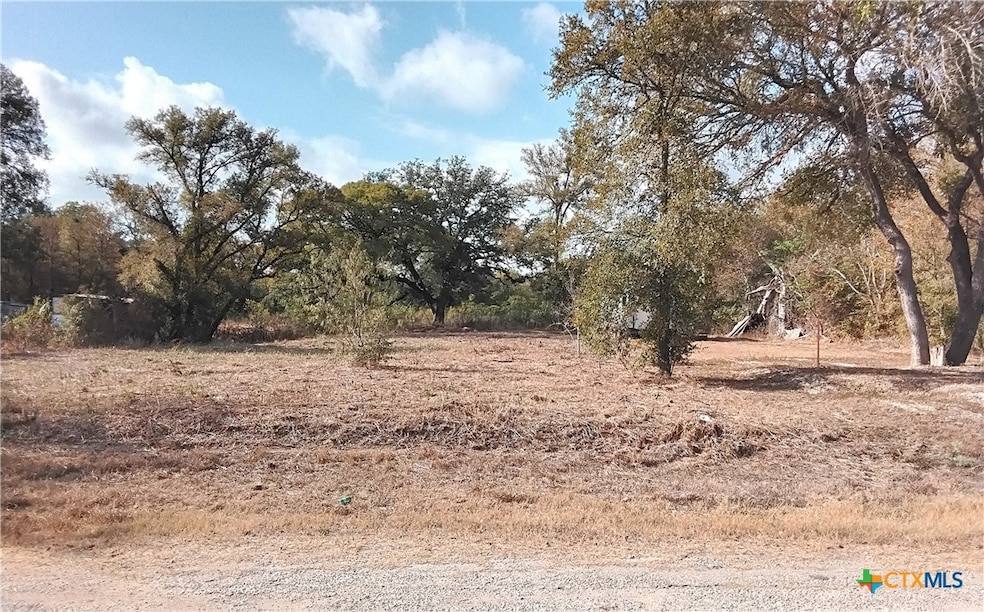 TBD SW Blk 1st Ave, Waelder, TX 78959 - photo 1