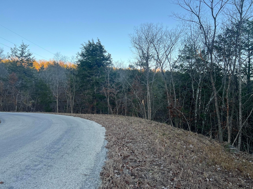 790 Pomme de Terre Rd, Scott Township, MO 65616 - photo 1