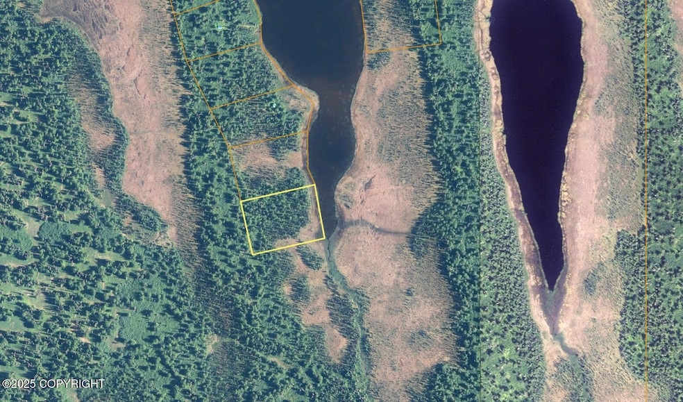 Tr A Dalteli Lake (No Road), Trapper Creek, AK 99683 - photo 1