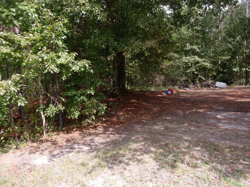 128 Middle Trail, Sylvester, GA 31791 - photo 1