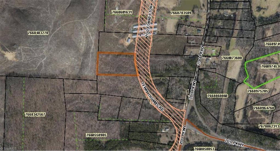 0 Lewis Thomas Rd, Grant, NC 27205 - photo 1