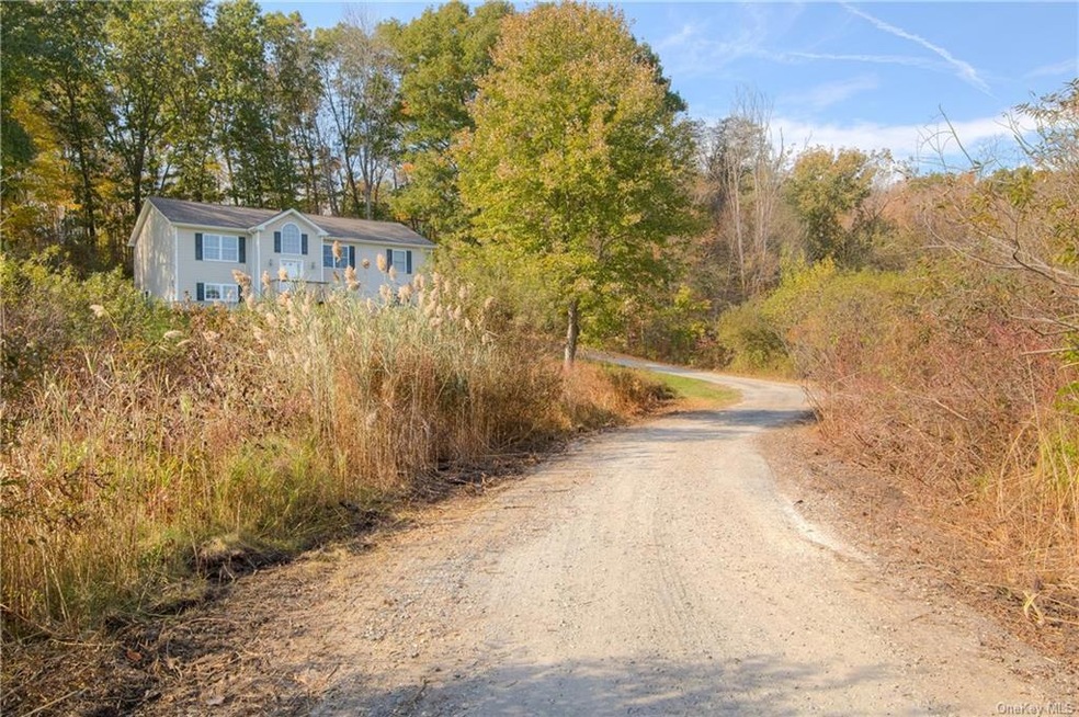 133 Dog Tail Corners Rd, Wingdale, NY 12594 - photo 1