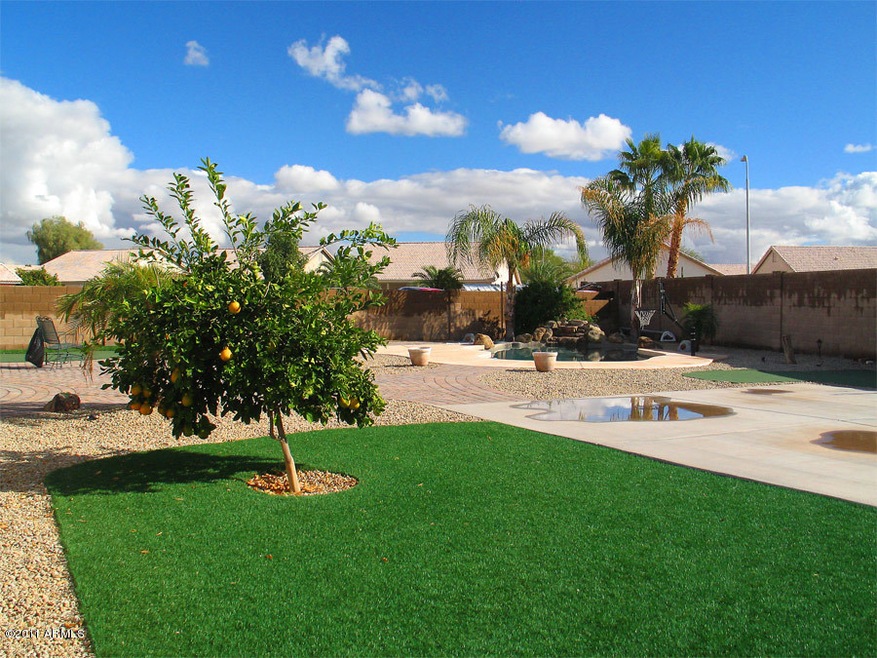 Enormous Back Yard