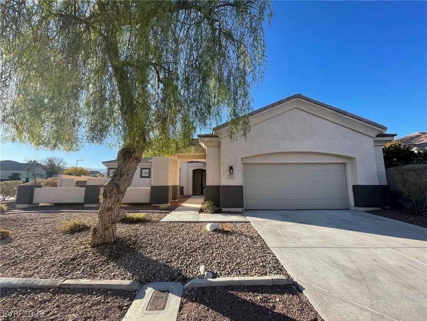 3055 Constable St, Las Vegas, NV 89135 - photo 1