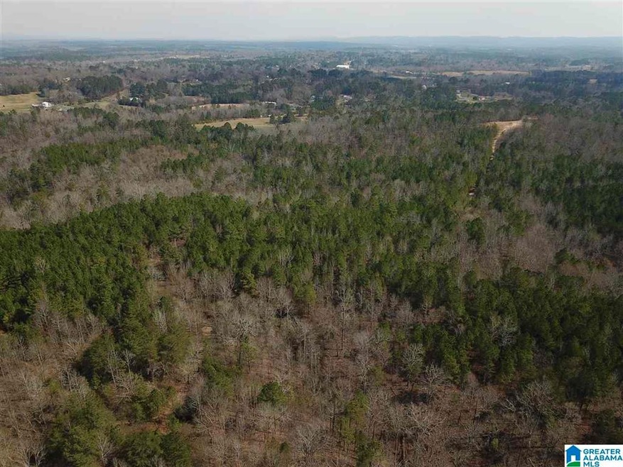 0 Bone Dry Rd unit 1, Kimberly, AL 35091 - photo 1