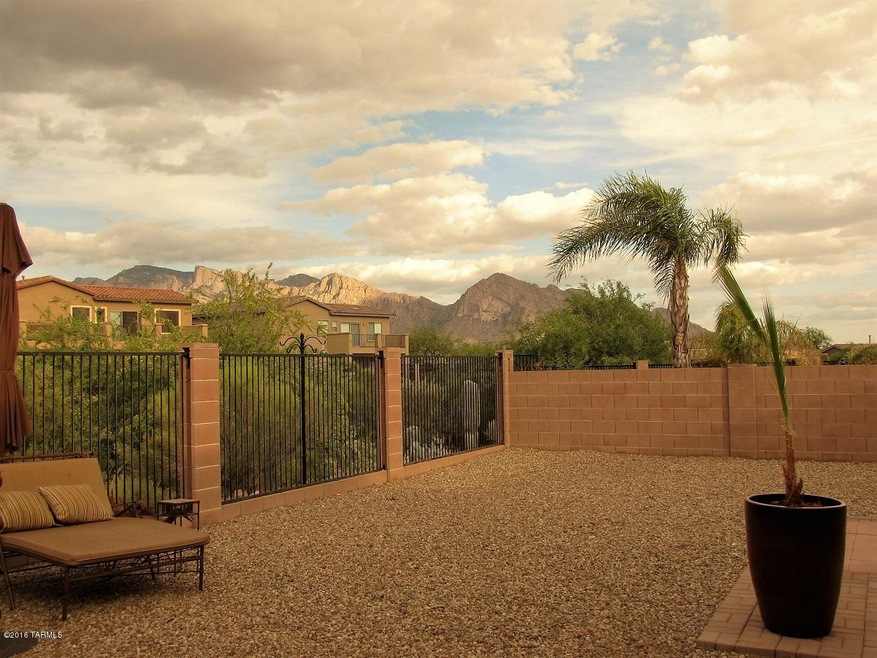 Backyard Views