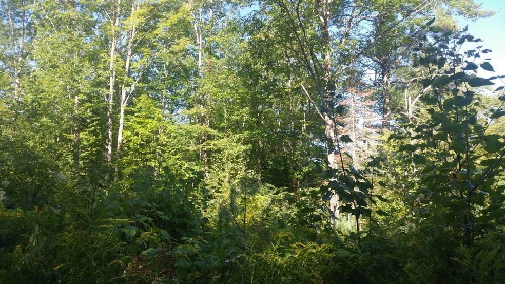 Lot 9 Hopper Rd, Acton, ME 04001 - photo 1