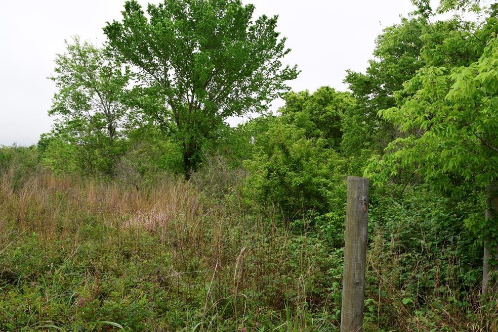 0 Cr 221steeplechase, Bay City, TX 77414 - photo 1