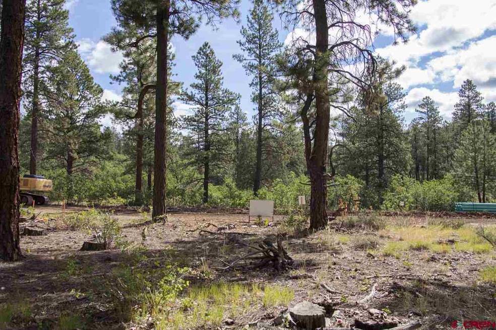 0 Calico Trail unit 696699, Durango, CO 81301 - photo 1