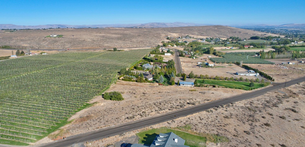 Aerial View 2