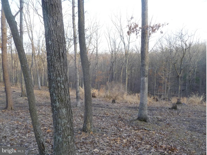 0 Kentucky Ln unit 1002815960, Berkeley Springs, WV 25411 - photo 1