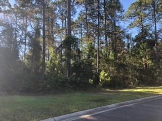 179 Bluebill Trail, Brunswick, GA 31523 - photo 1