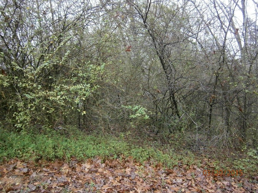P3200170.JPG