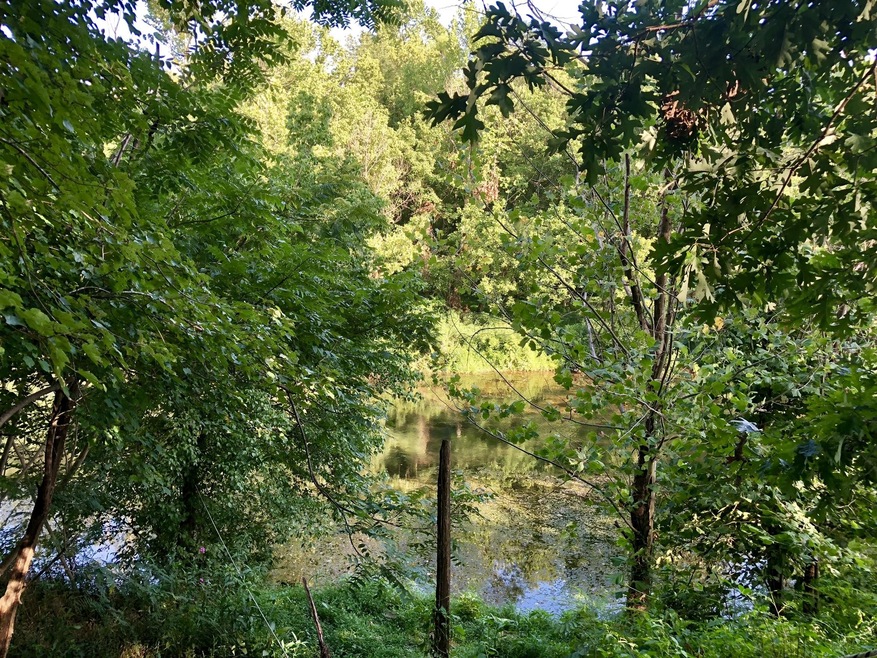 0 Fredonia Rd, Manchester, TN 37355 - photo 1