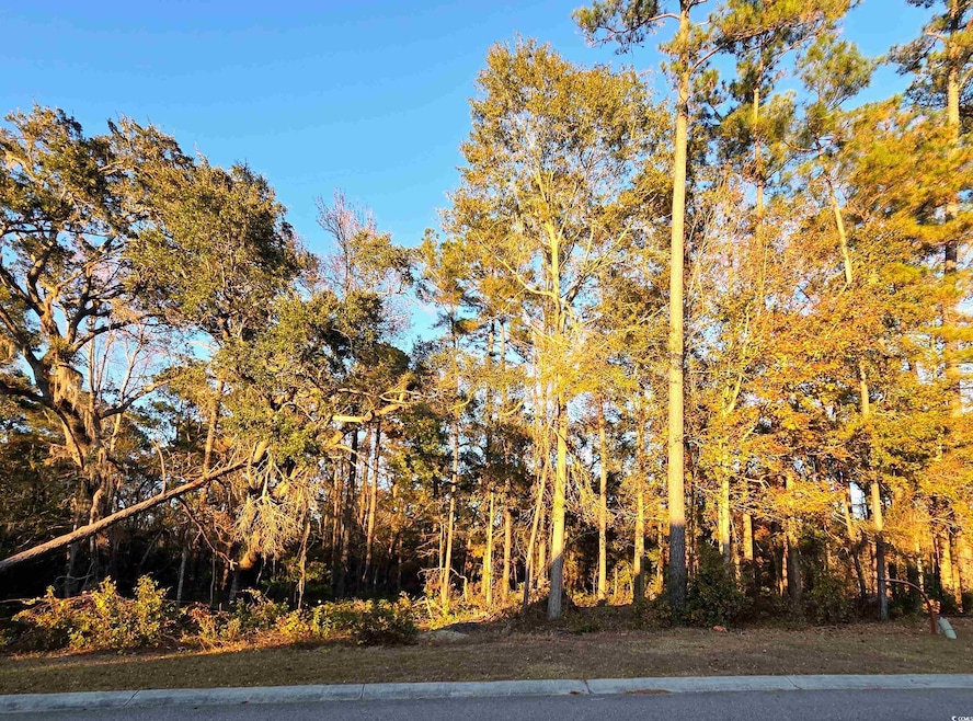 616 McCown Dr, Conway, SC 29526 - photo 1