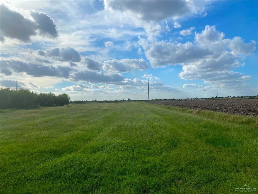 000 Golie Rd, Donna, TX 78537 - photo 1