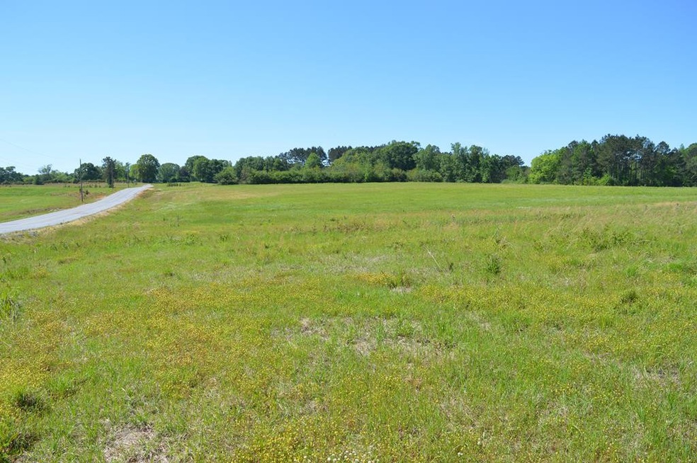 ... Airport Rd and Fairway Rd, McComb, MS 39648 - photo 1