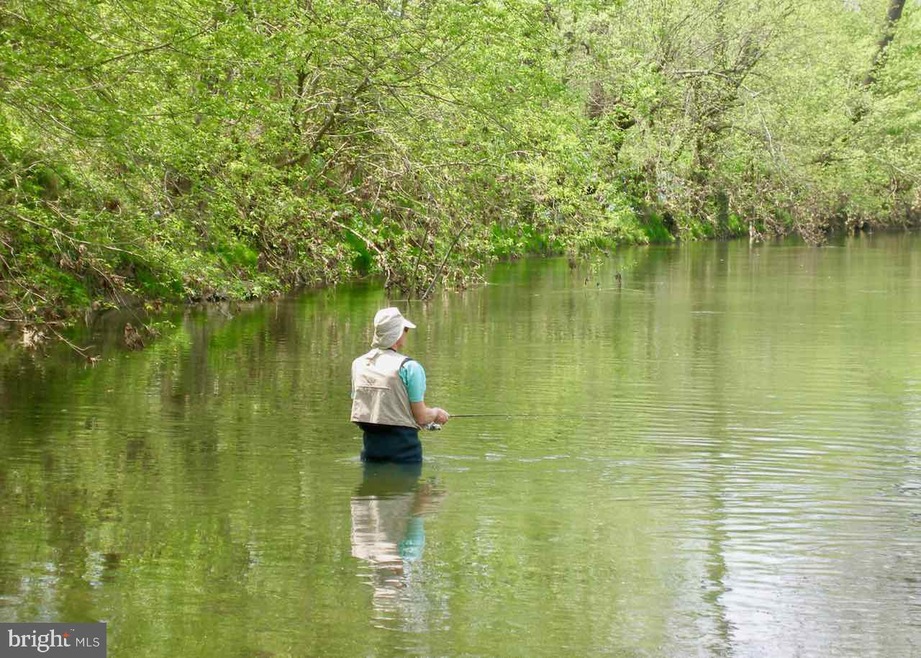 0 Palmyra Church Rd unit VASH120458, Edinburg, VA 22824 - photo 1
