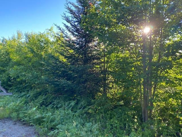 3 Fieldstone Rd, Gorham, NH 03581 - photo 1