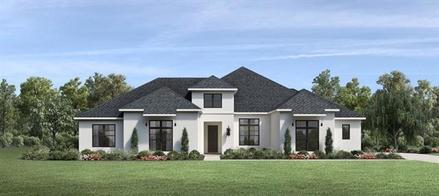 Treaty Oak Transitional