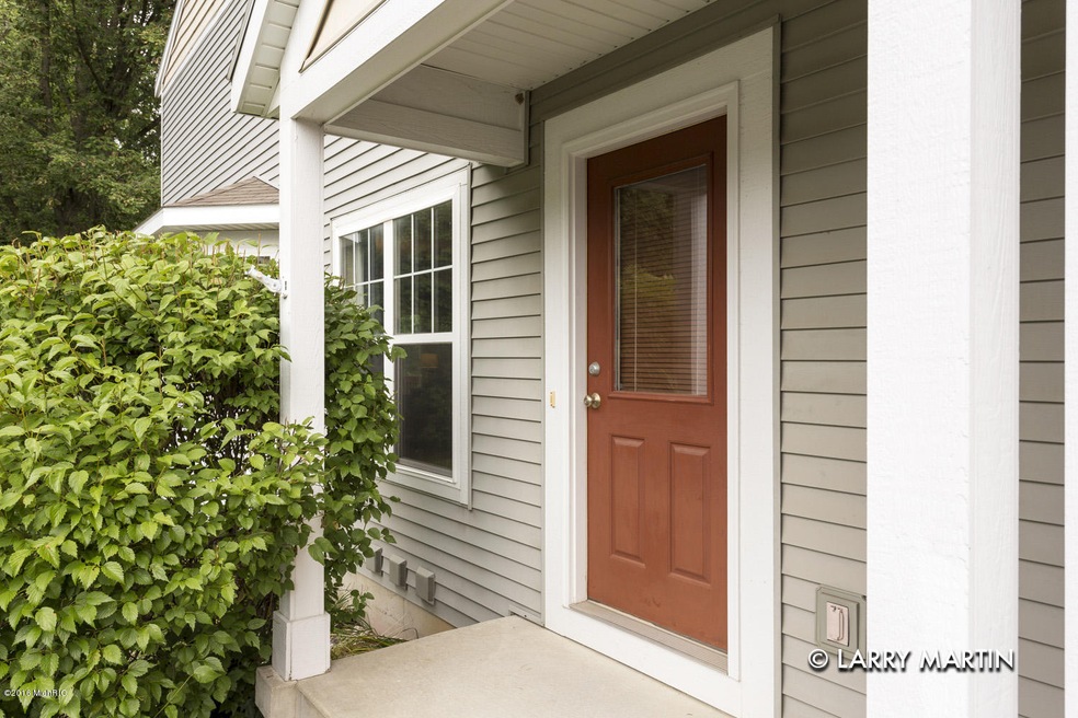 798 Stevenspoint SE unit 9, Byron Center, MI 49315 - photo 1