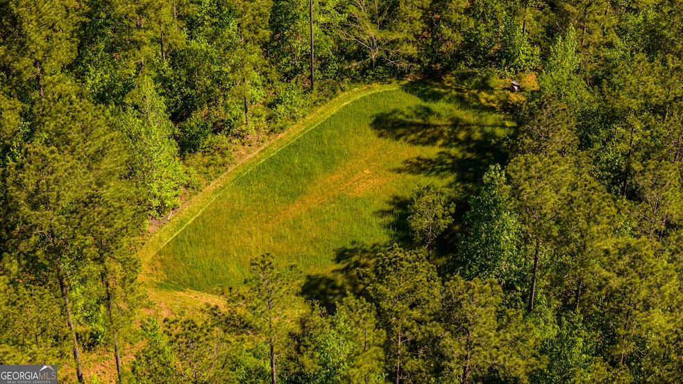 140 George Jordan Way unit 207 ACRES, Talbotton, GA 31827 - photo 1