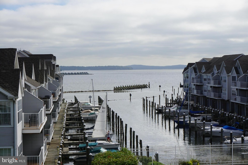 311 Red Head Way unit C, Havre de Grace, MD 21078 - photo 1